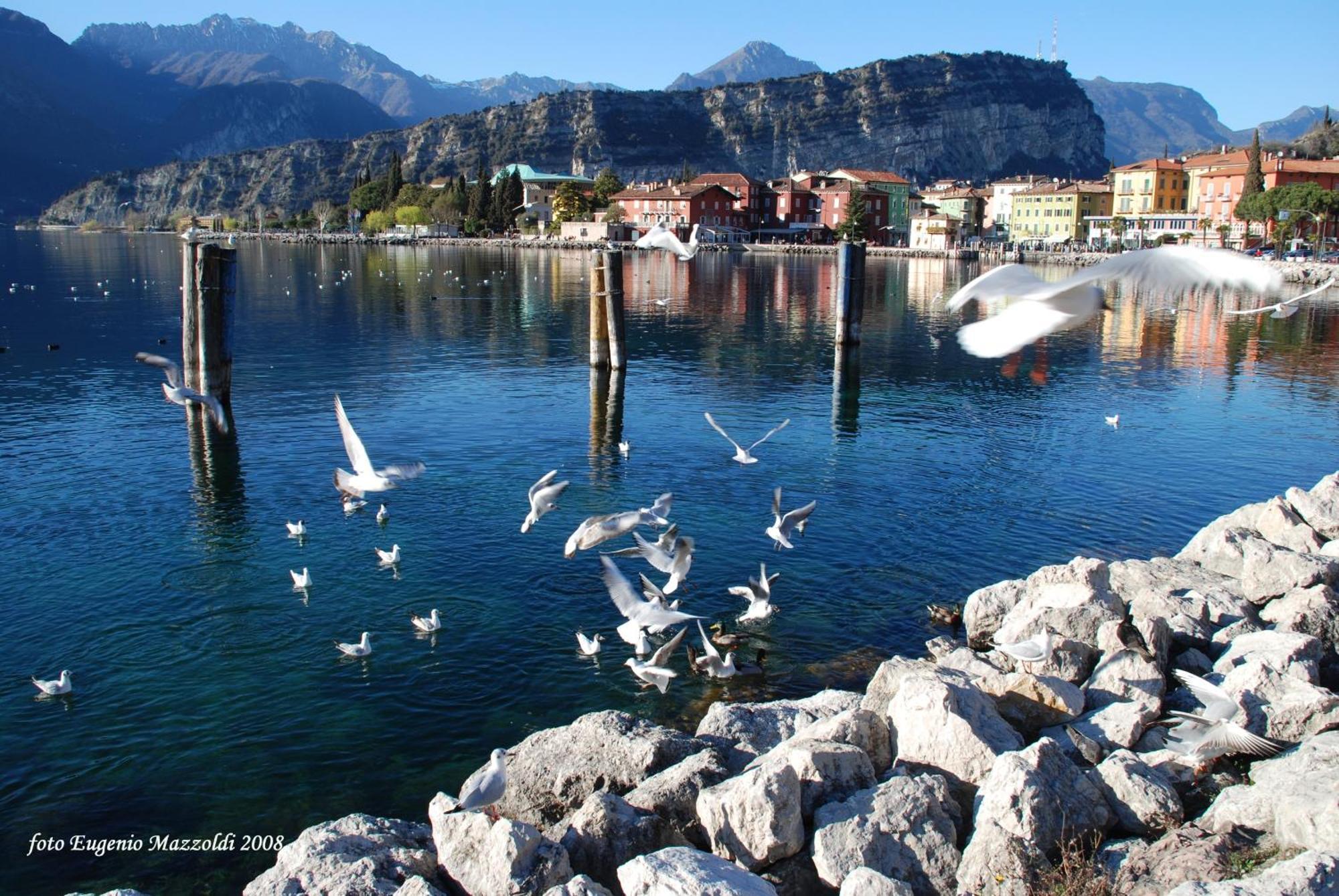 Casa Marco Apartment Torbole Sul Garda Ngoại thất bức ảnh